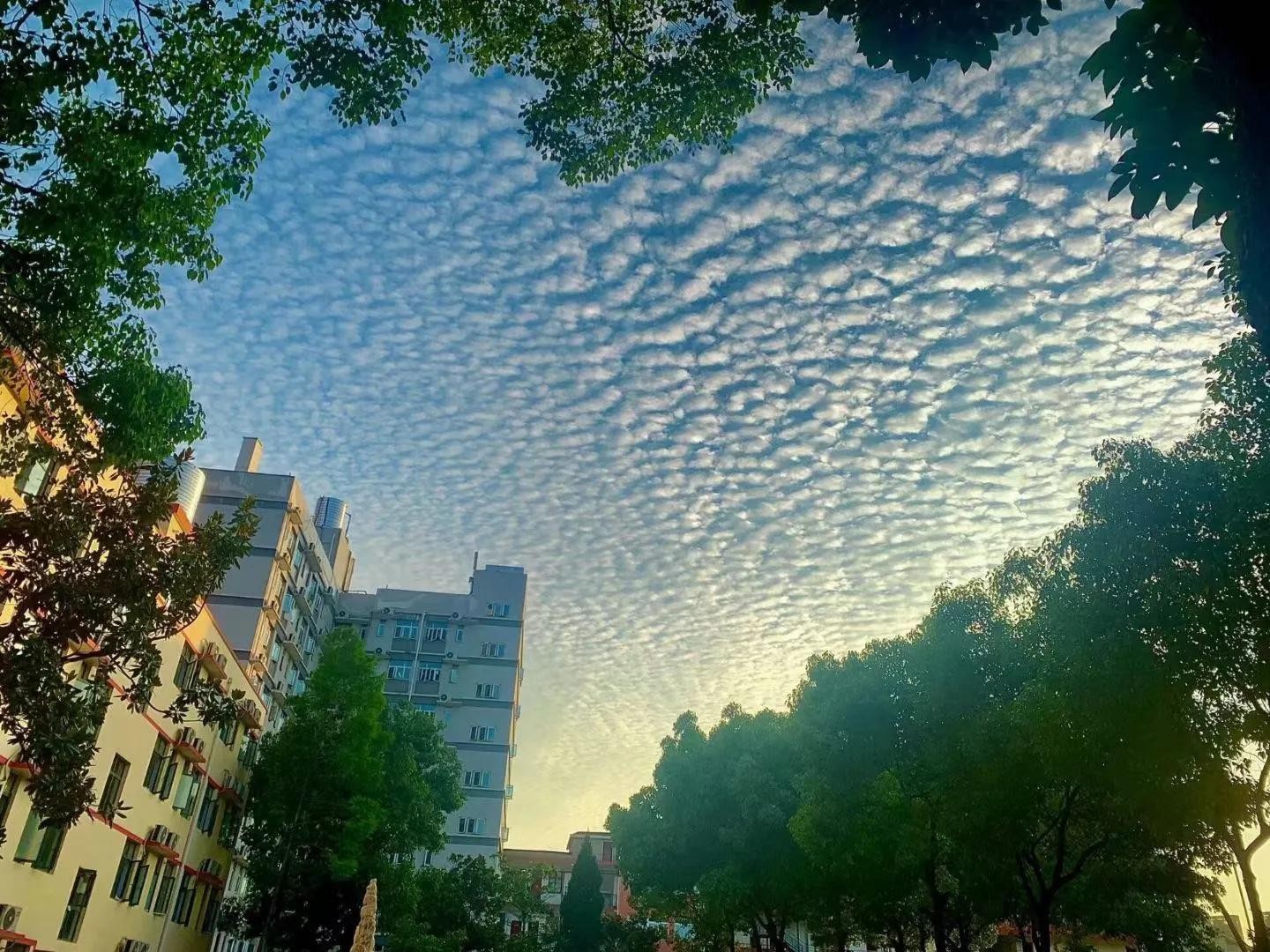 毕业进国企，福利好，待遇高；Beat365唯一官方网站学生很“清高